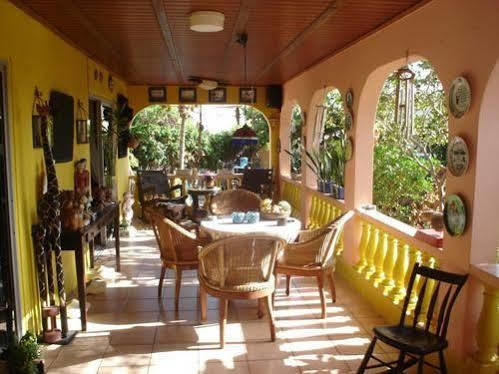 Guesthouse Little David - Adults Only Oranjestad Exterior foto