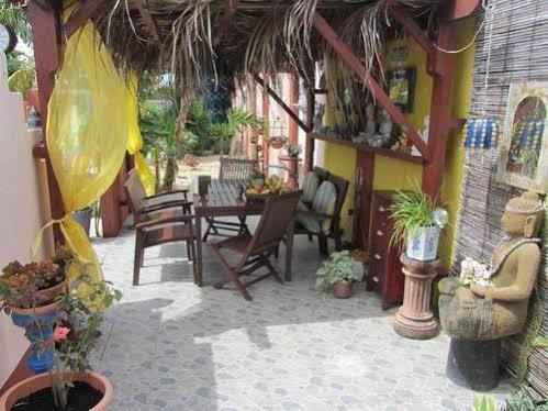 Guesthouse Little David - Adults Only Oranjestad Exterior foto