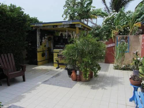 Guesthouse Little David - Adults Only Oranjestad Exterior foto