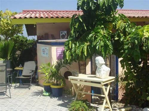 Guesthouse Little David - Adults Only Oranjestad Exterior foto