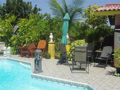 Guesthouse Little David - Adults Only Oranjestad Exterior foto